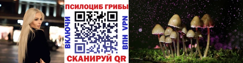 Псилоцибиновые грибы MAGIC MUSHROOMS  Гаврилов-Ям 
